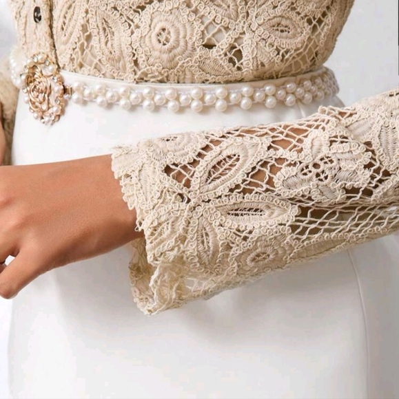 Elegant Women's Long Sleeved Lace Stand Up Collar Button Up Shirt - Picture 4 of 5